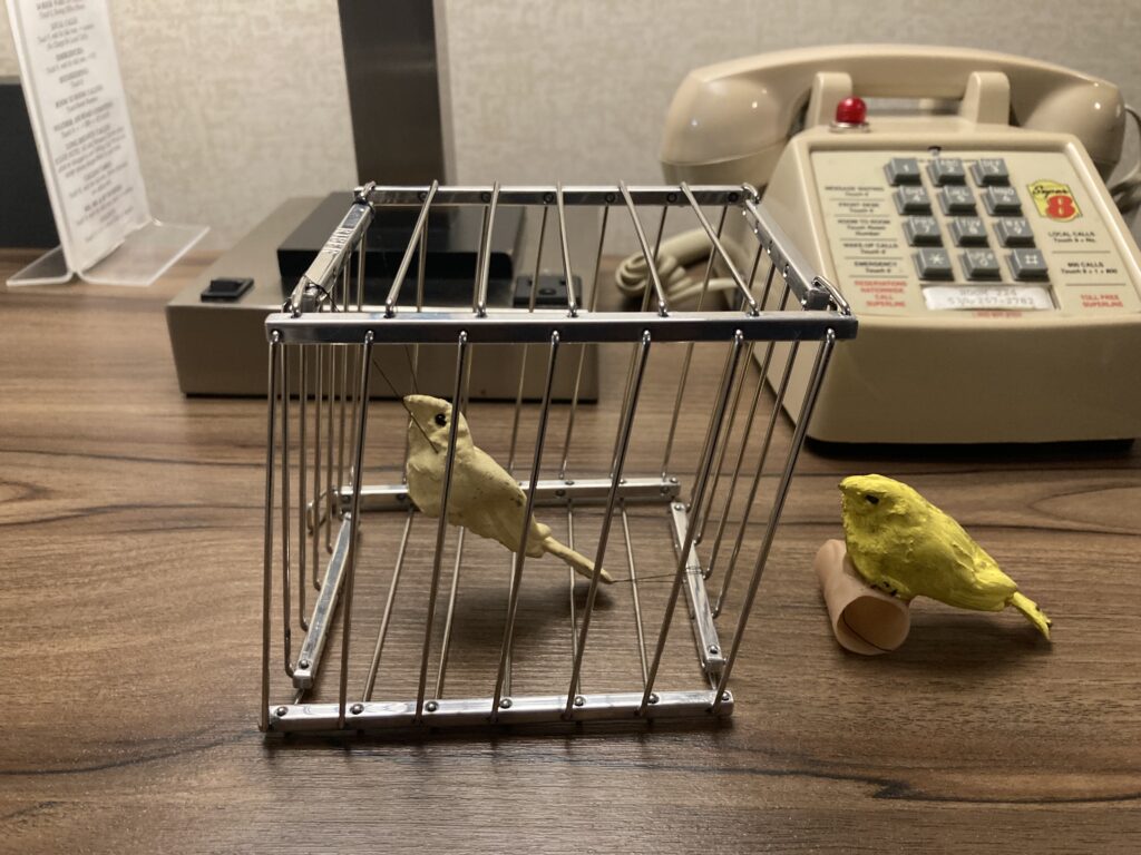 latex canary in vanishing birdcage