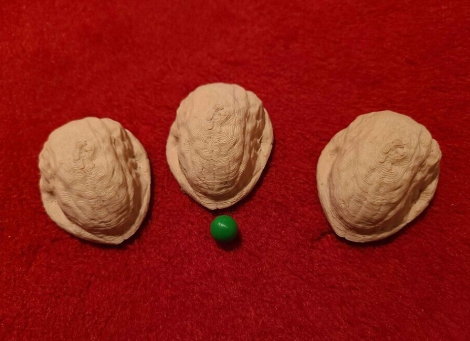 three shell game