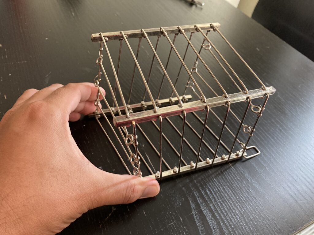 vanishing birdcage