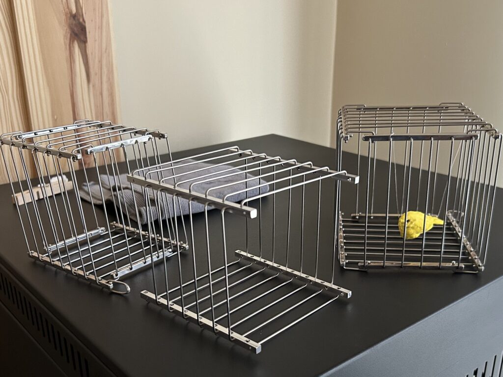 vanishing birdcages