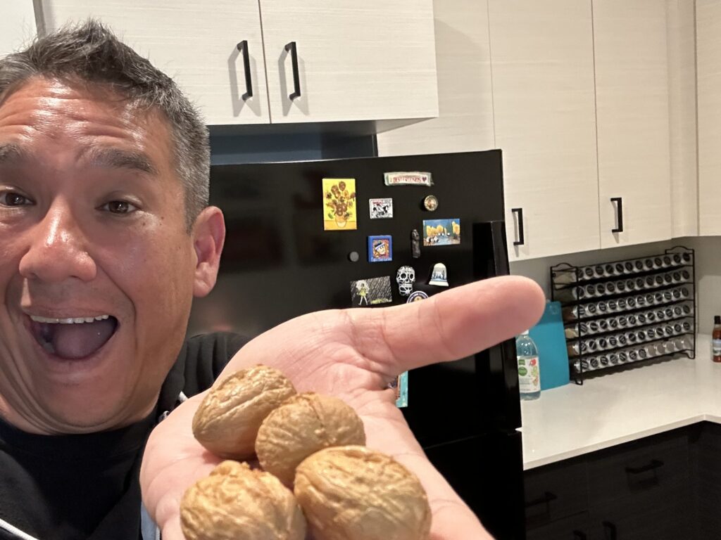 Walnuts to Glass Magic Routine