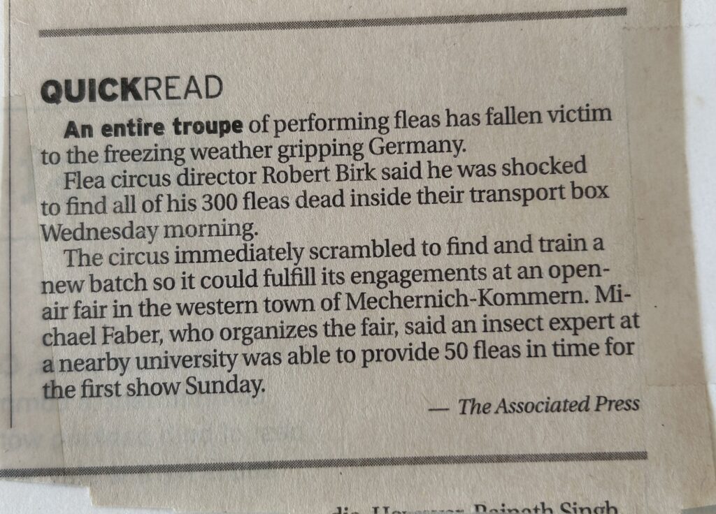 flea circus