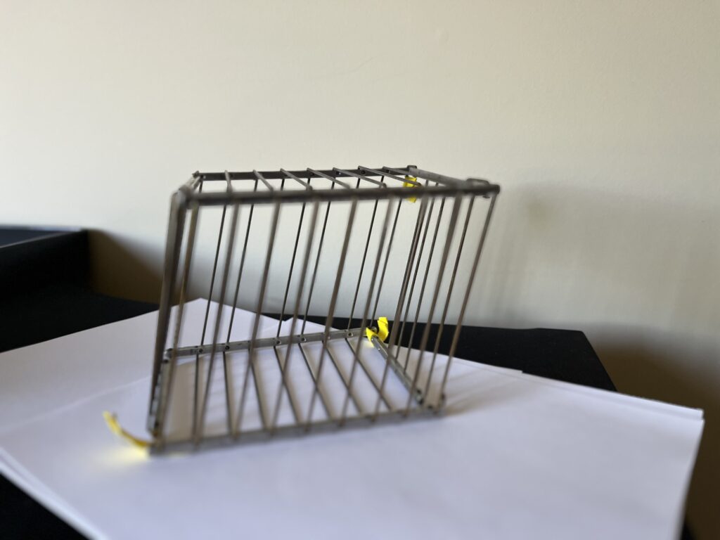 vanishing bird cage