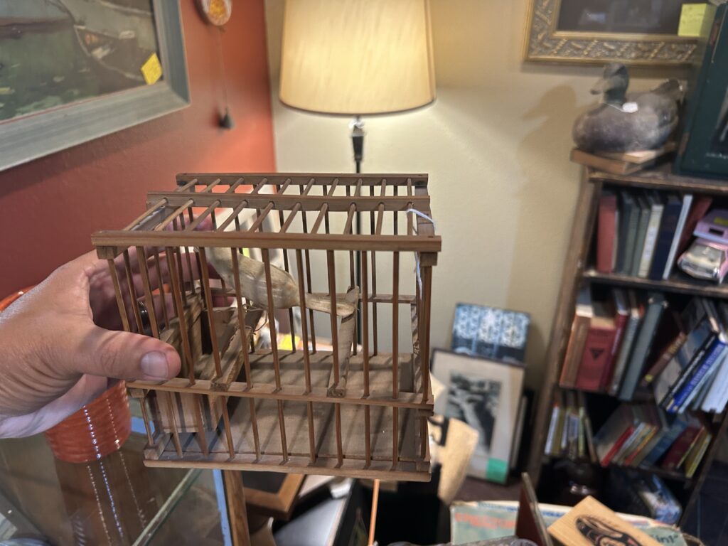 vanishing bird cage
