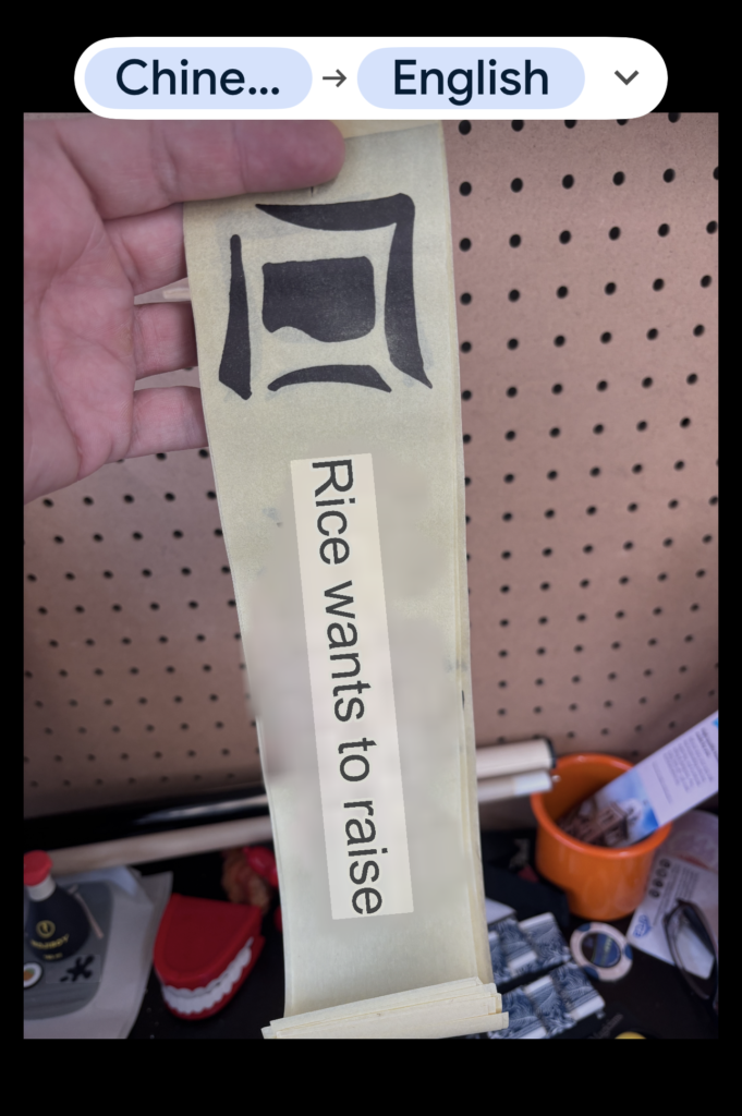 Chinese Laundry Ticket