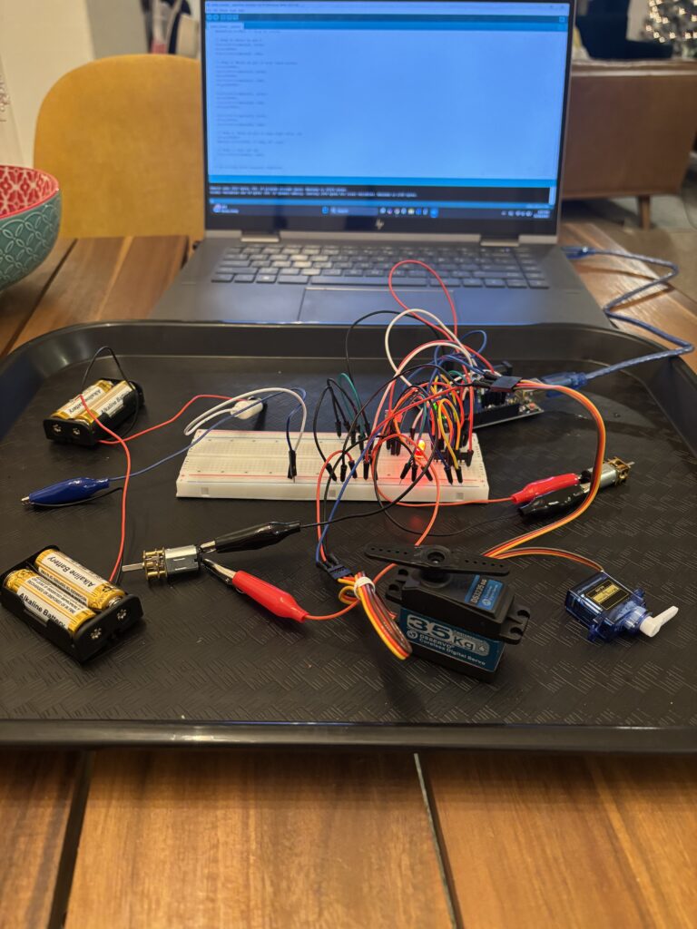 snake basket magic trick