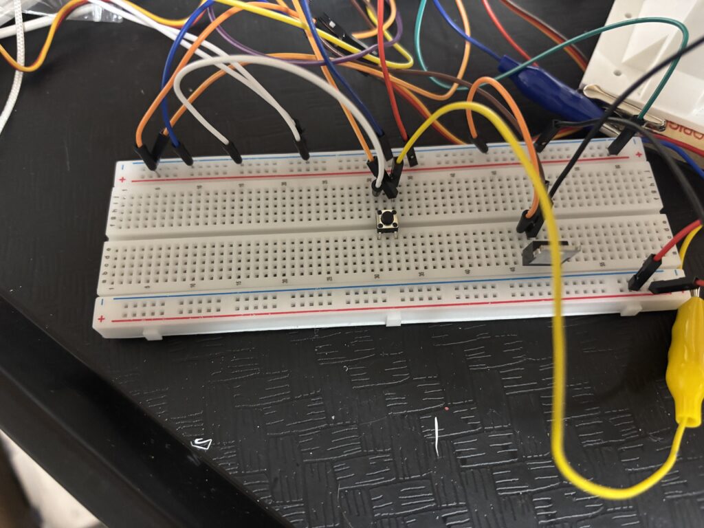 snake basket magic trick