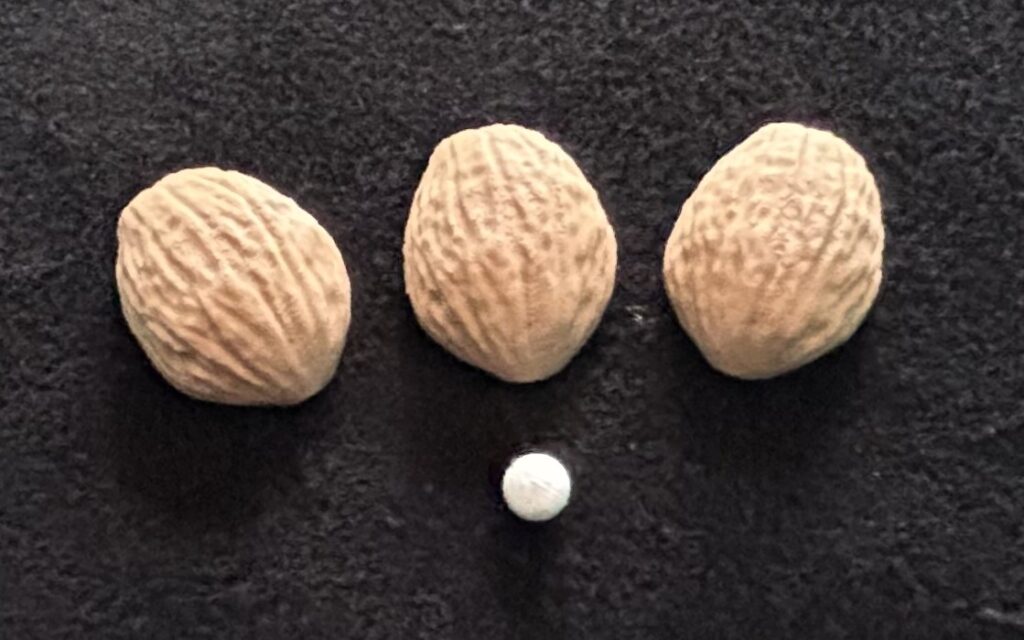 Three Shell Game