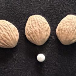 shell game
