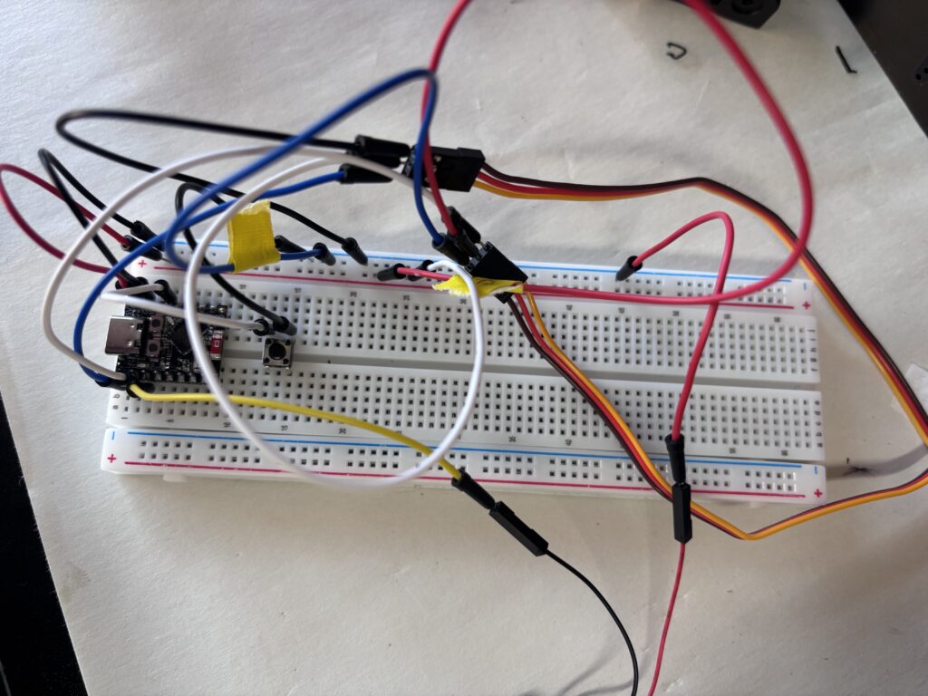 snake basket magic trick