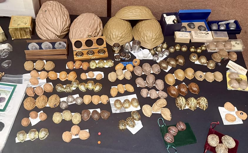 three shell game collection