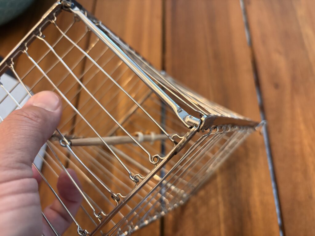 Vanishing Birdcage