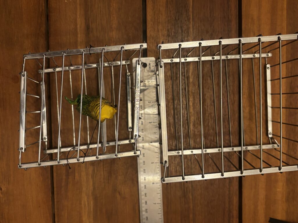 two vanishing birdcages and a ruler