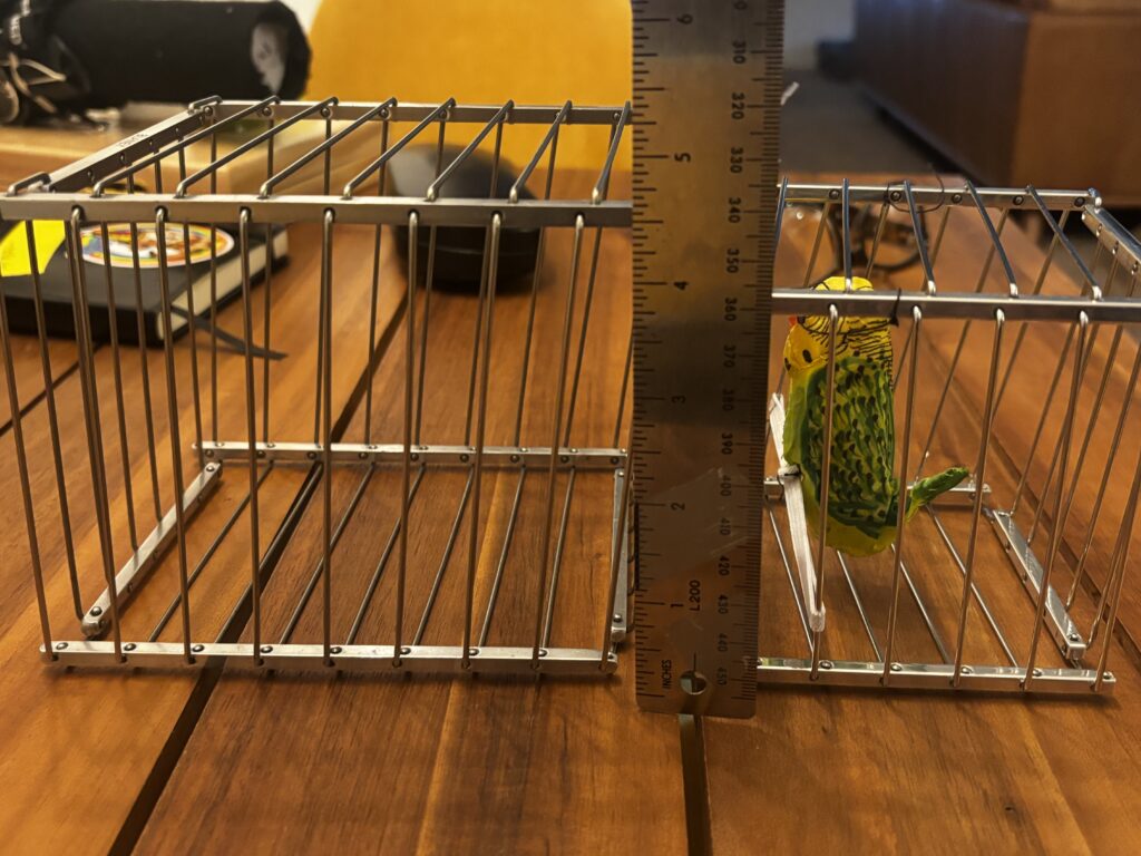 two vanishing birdcages and a ruler