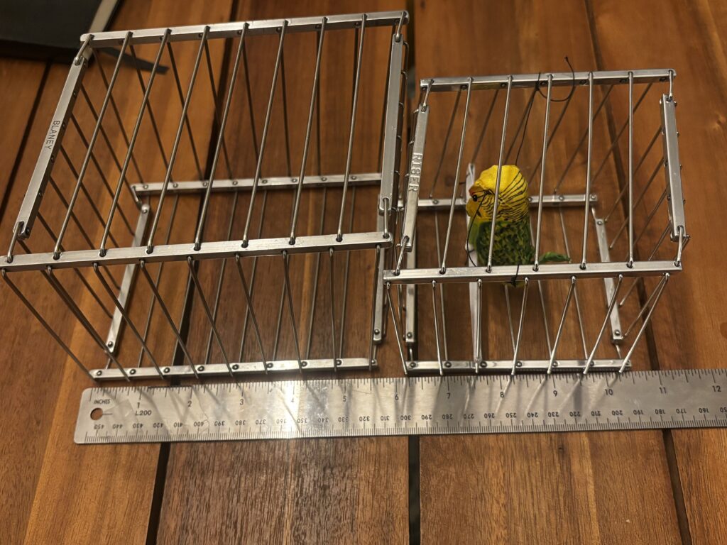 two vanishing birdcages and a ruler